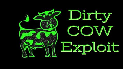 9 - use dirty cow from dirtycow. . Dirtycow exploit